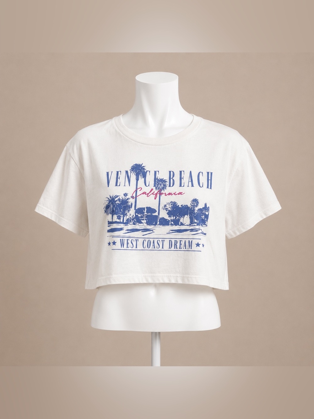 Organic Collective Venice Beach California Graphic Crop Tee XL
